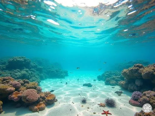 Snorkeling en Crête : voici les 6 plus beaux spots de l'île grecque