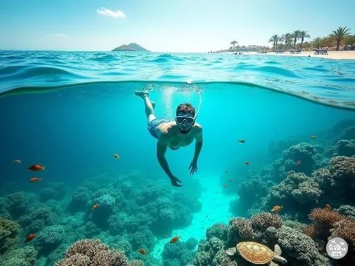 Les meilleurs spots de snorkeling à Hurghada en Egypte