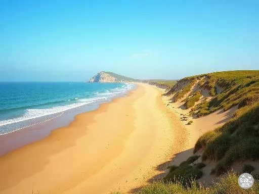 Wissant, la station balnéaire des Hauts-de-France qui séduit toujours plus en 2026